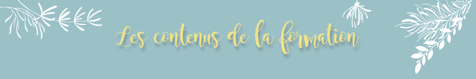 Contenus de la formation banniere – 1