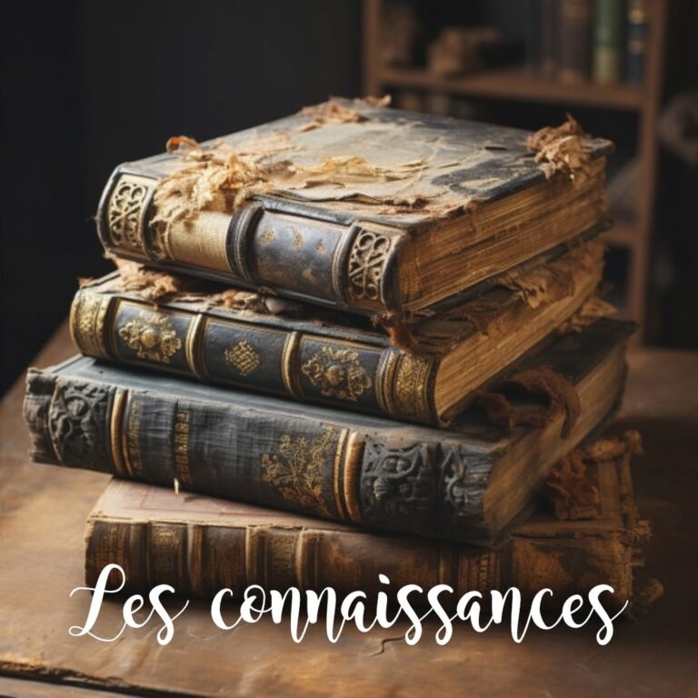 Illustration de l’article « LES CONNAISSANCES » d’Élodie Rivero